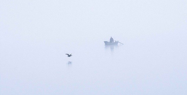 تنزيل Bird Lake Boat مجانًا - صورة مجانية أو صورة مجانية ليتم تحريرها باستخدام محرر الصور عبر الإنترنت GIMP