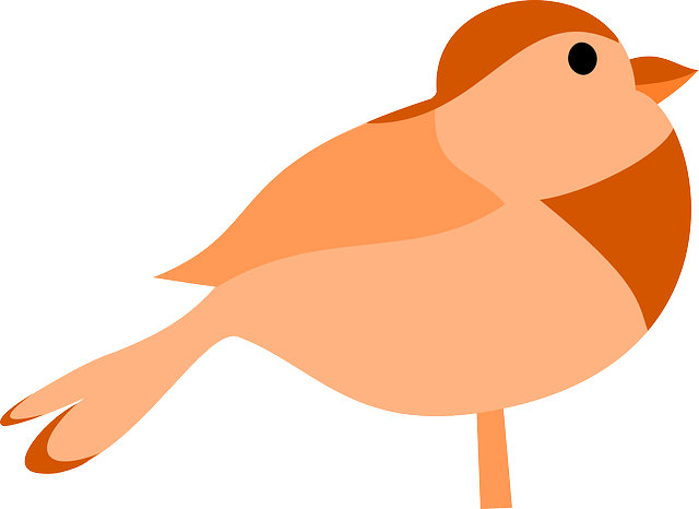 Free download Bird Orange Brown - Free vector graphic on Pixabay free illustration to be edited with GIMP free online image editor