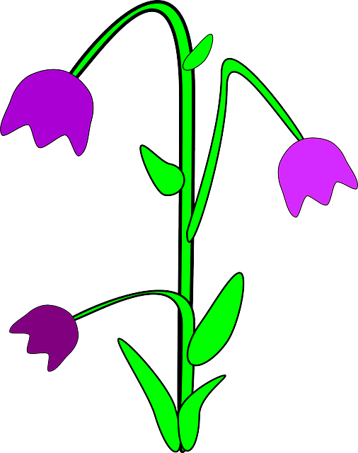 Free download Bluebell Flowers Blue - Free vector graphic on Pixabay free illustration to be edited with GIMP free online image editor