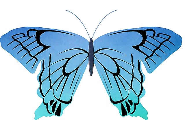 Download gratuito Blue Butterfly Insect - illustrazione gratuita da modificare con l'editor di immagini online gratuito di GIMP