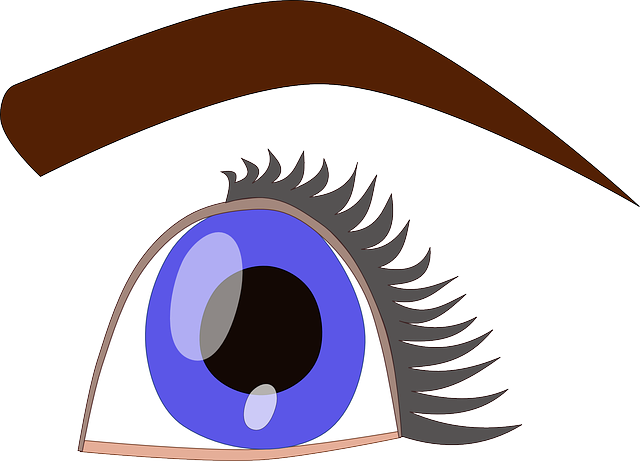 Free download Blue Eye - Free vector graphic on Pixabay free illustration to be edited with GIMP free online image editor