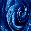 Blue Rose HD Wallpaper Theme  screen for extension Chrome web store in OffiDocs Chromium