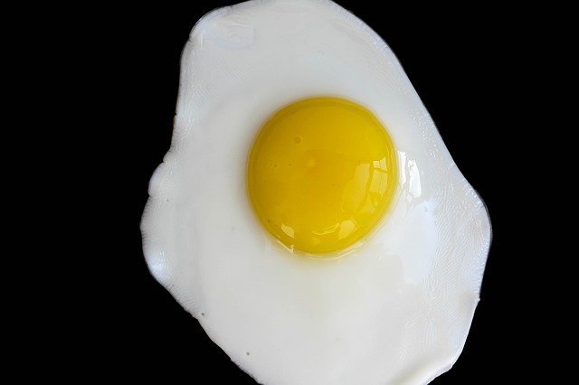 تنزيل مجاني لـ Breakfast Egg Nutrition - صورة أو صورة مجانية لتحريرها باستخدام محرر الصور عبر الإنترنت GIMP