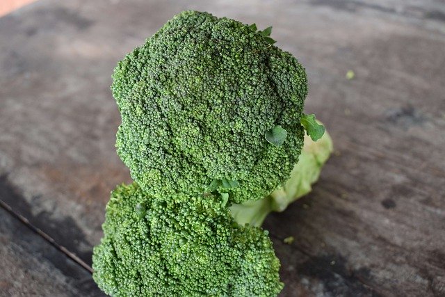 Free download broccoli vegetable food fresh free picture to be edited with GIMP free online image editor