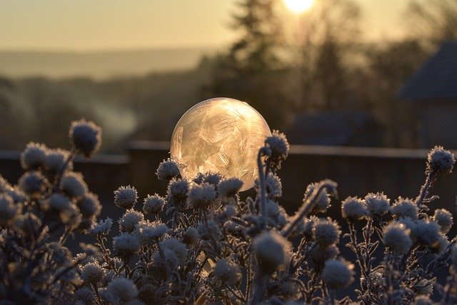 Free download bubble jelly winter nature free picture to be edited with GIMP free online image editor