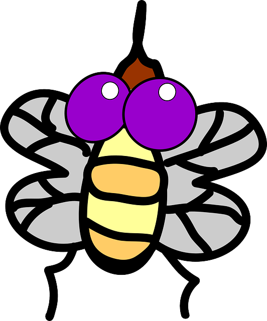 Free download Bug Fly Insect - Free vector graphic on Pixabay free illustration to be edited with GIMP free online image editor