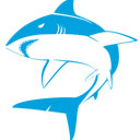 Bull Shark  screen for extension Chrome web store in OffiDocs Chromium