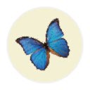 Butterfly  screen for extension Chrome web store in OffiDocs Chromium