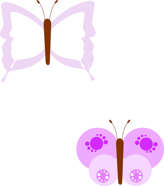 Free download Butterfly Insect Colorful - Free vector graphic on Pixabay free illustration to be edited with GIMP free online image editor