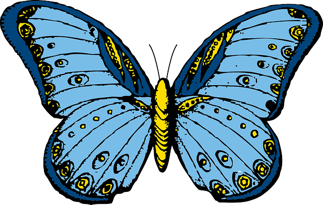 Libreng download Butterfly Insect Polymorphism - Libreng vector graphic sa Pixabay libreng ilustrasyon na ie-edit gamit ang GIMP na libreng online na editor ng imahe