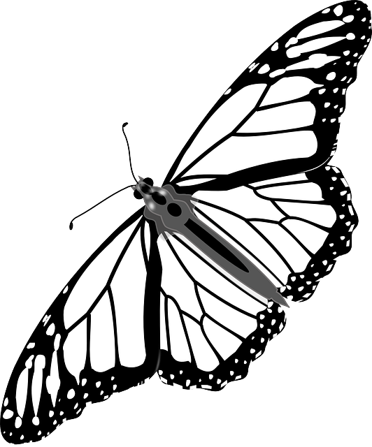 Free download Butterfly Monarch Insect - Free vector graphic on Pixabay free illustration to be edited with GIMP free online image editor