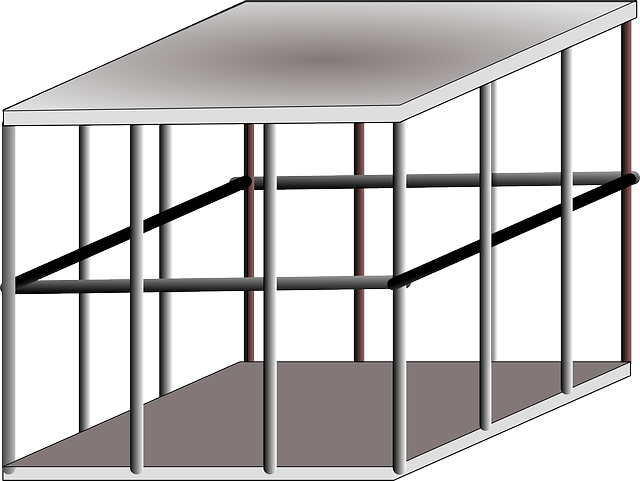 Free download Cage Metal Trapped - Free vector graphic on Pixabay free illustration to be edited with GIMP free online image editor