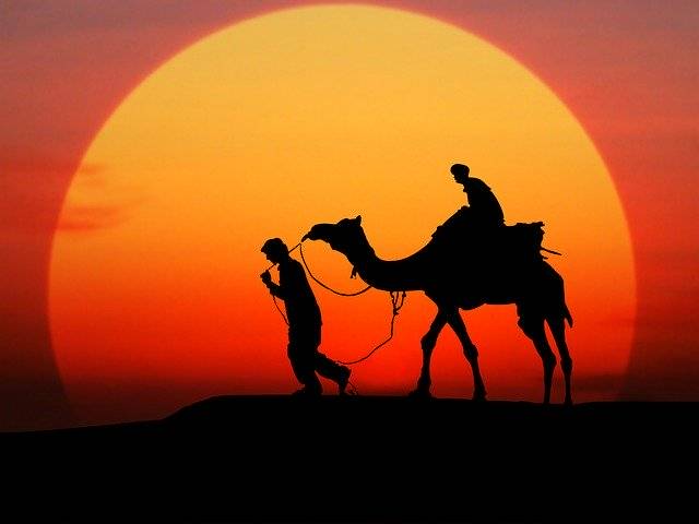 Muat turun percuma Camel Sunset Silhouette - foto atau gambar percuma percuma untuk diedit dengan editor imej dalam talian GIMP