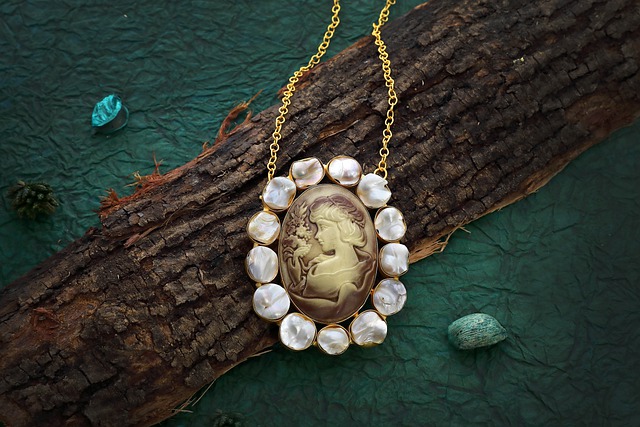 Free download cameo necklace jewelry jewellery free picture to be edited with GIMP free online image editor