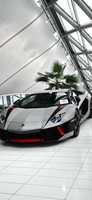 Free download Car Lamborghini 345c 3bd 1 Fdca 4730 A 74e 7ff 8e 6e 3f 958 free photo or picture to be edited with GIMP online image editor