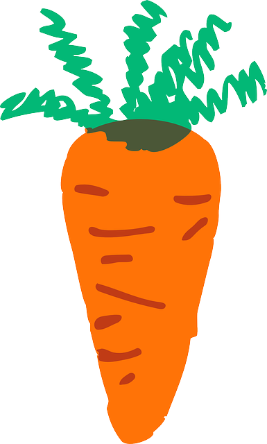 Free download Carrot Orange - Free vector graphic on Pixabay free illustration to be edited with GIMP free online image editor