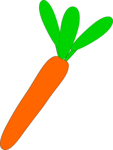 Free download Carrot Vegetable Vegetarian - Free vector graphic on Pixabay free illustration to be edited with GIMP free online image editor