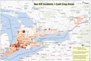 Free download Cash Crop Areas And Bee Kills free photo or picture to be edited with GIMP online image editor