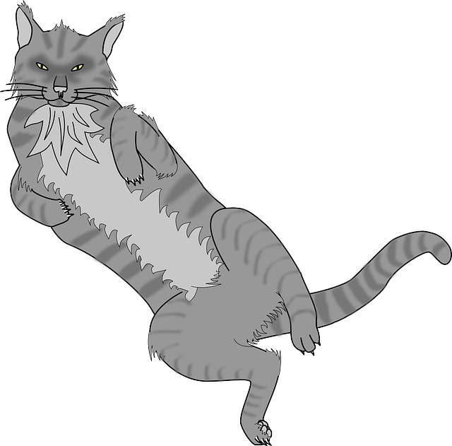 Free download Cat Animal Feline - Free vector graphic on Pixabay free illustration to be edited with GIMP free online image editor