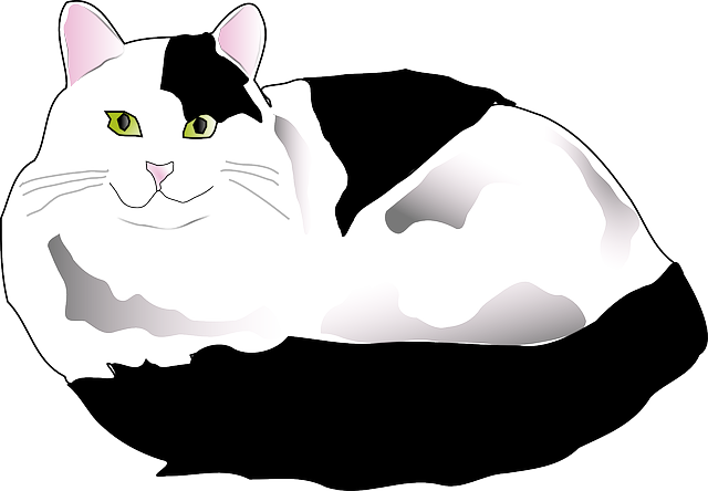 Free download Cat Black White - Free vector graphic on Pixabay free illustration to be edited with GIMP free online image editor