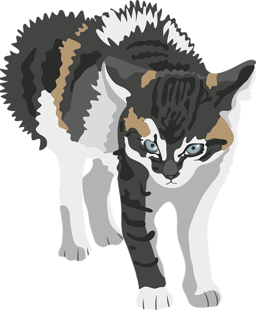 Free download Cat Hiss - Free vector graphic on Pixabay free illustration to be edited with GIMP free online image editor