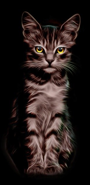 Gratis download Cat Illustration Yellow Eyes gratis illustratie om te bewerken met GIMP online afbeeldingseditor