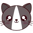 Cats  Kittens Wallpapers New Tab  screen for extension Chrome web store in OffiDocs Chromium