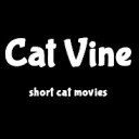 Cat Vine Lite |หน้าจอ ショート猫動画 สำหรับส่วนขยาย Chrome เว็บสโตร์ใน OffiDocs Chromium