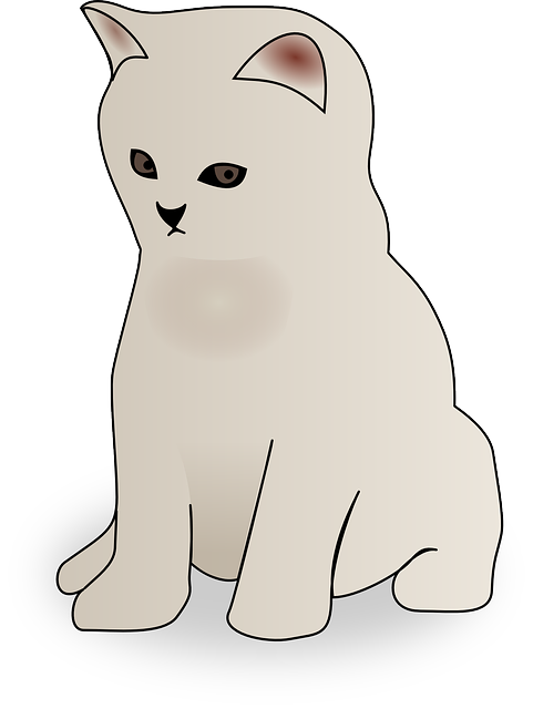 Free download Cat White Animal - Free vector graphic on Pixabay free illustration to be edited with GIMP free online image editor