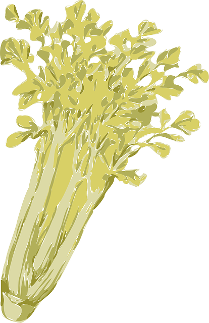 Free download Celery Vegetables Green - Free vector graphic on Pixabay free illustration to be edited with GIMP free online image editor