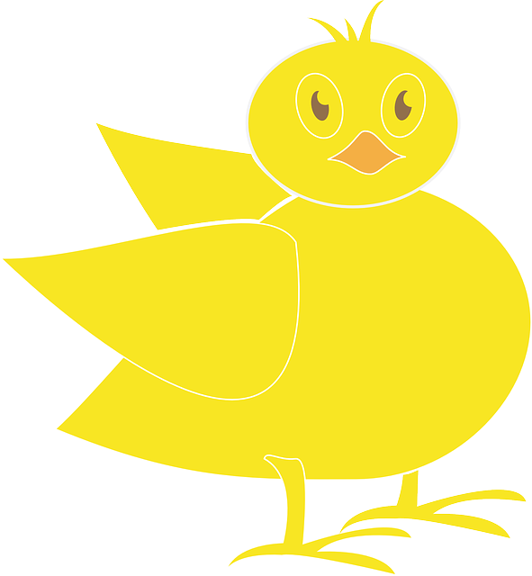 Free download Chick Baby Bird - Free vector graphic on Pixabay free illustration to be edited with GIMP free online image editor