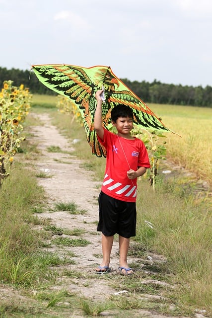 Free download child boy play kite kite flying free picture to be edited with GIMP free online image editor