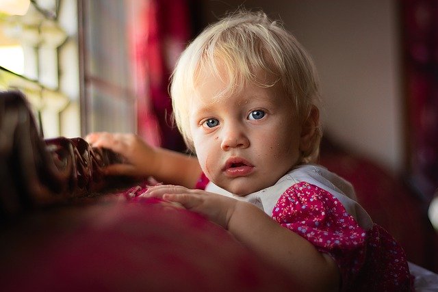 Free download child portrait girl window eyes free picture to be edited with GIMP free online image editor