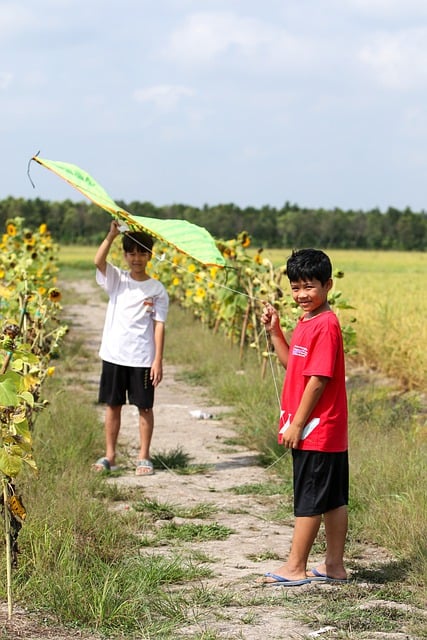 Free download children boys play kite free picture to be edited with GIMP free online image editor