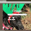 Christmas Dog  screen for extension Chrome web store in OffiDocs Chromium