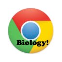 CHS Biology Semester Final  screen for extension Chrome web store in OffiDocs Chromium