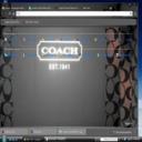 Coach Theme  screen for extension Chrome web store in OffiDocs Chromium