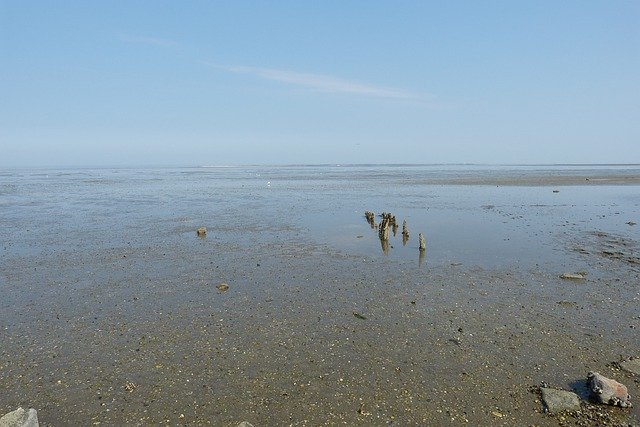 Free download coast sea ostfriesland wadden sea free picture to be edited with GIMP free online image editor