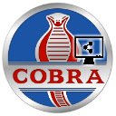 COBRA Desktop Streamer  screen for extension Chrome web store in OffiDocs Chromium