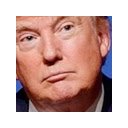 Correct Donald Trump misspellings  screen for extension Chrome web store in OffiDocs Chromium
