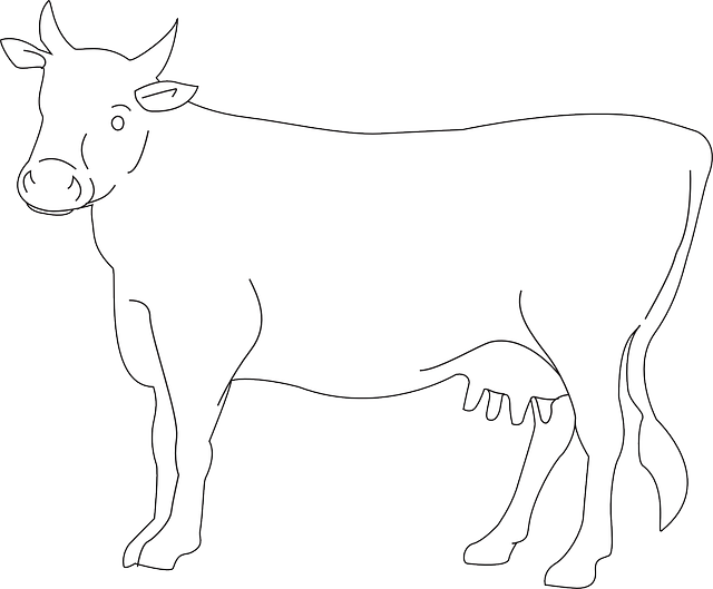 Free download Cow Cattle Livestock - Free vector graphic on Pixabay free illustration to be edited with GIMP free online image editor