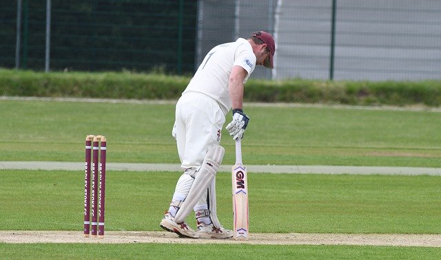 Muat turun percuma Cricket Sport Batsman - foto atau gambar percuma untuk diedit dengan editor imej dalam talian GIMP