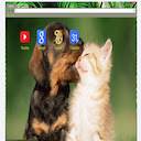 Cute A CatPuppy Theme  screen for extension Chrome web store in OffiDocs Chromium