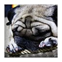 Cute Pug  screen for extension Chrome web store in OffiDocs Chromium