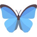 Daily Butterflies  screen for extension Chrome web store in OffiDocs Chromium