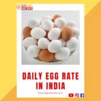 Free download Daily Egg Rate in India | Egiyok News free photo or picture to be edited with GIMP online image editor