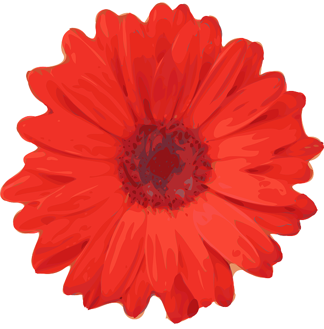 Free download Daisy Flower Red - Free vector graphic on Pixabay free illustration to be edited with GIMP free online image editor