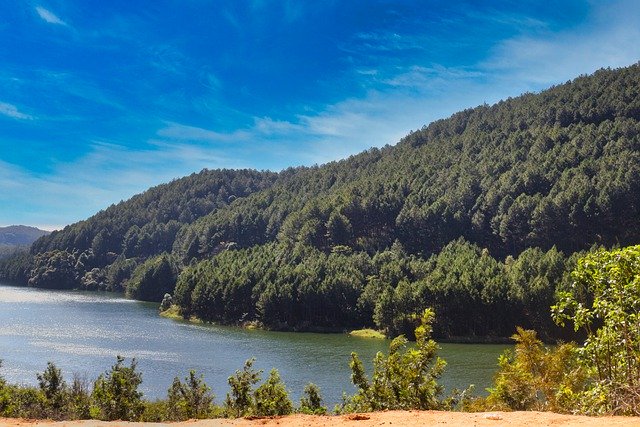 تنزيل صورة مجانية من da lat vietnam Tree Mountain Lake لتحريرها باستخدام محرر الصور المجاني عبر الإنترنت من GIMP