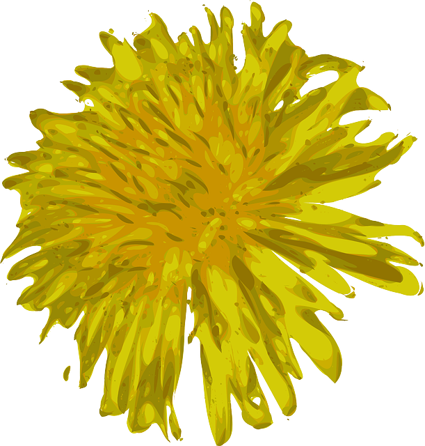 Free download Dandelion Flower Beautiful - Free vector graphic on Pixabay free illustration to be edited with GIMP free online image editor