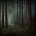 Dark Forest Road  screen for extension Chrome web store in OffiDocs Chromium